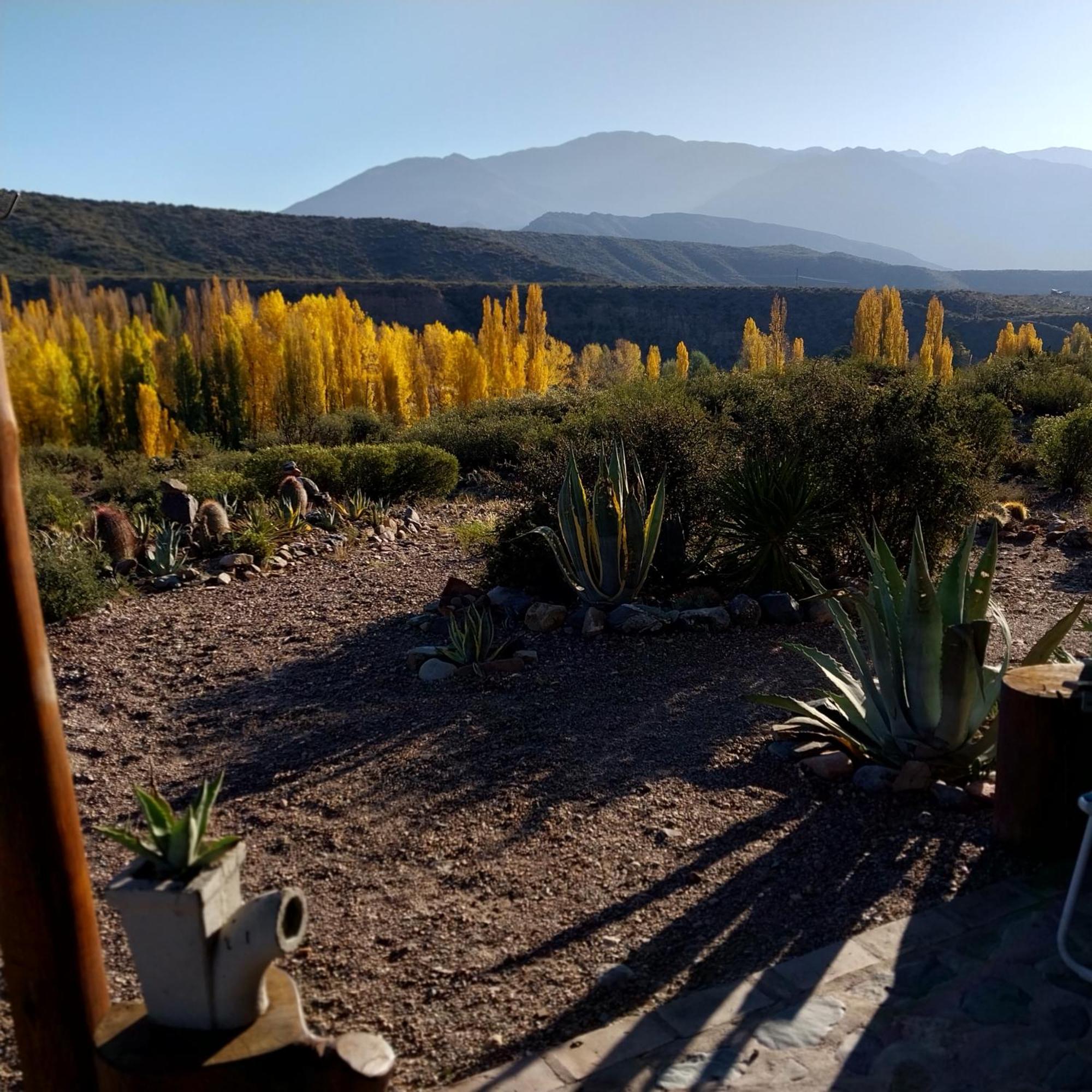 Cabana La Mostacita - Complejo El Taller Potrerillos Εξωτερικό φωτογραφία
